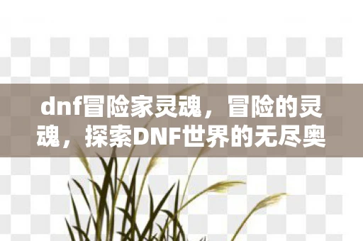 dnf冒险家灵魂,冒险的灵魂,探索DNF世界的无尽奥秘 dnf冒险家灵魂,冒险的灵魂,探索DNF世界的无尽奥秘