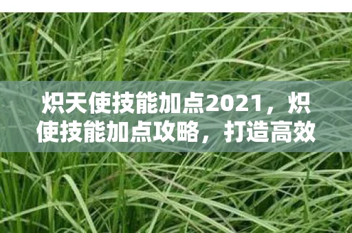炽天使技能加点2021，炽使技能加点攻略，打造高效战斗法师
