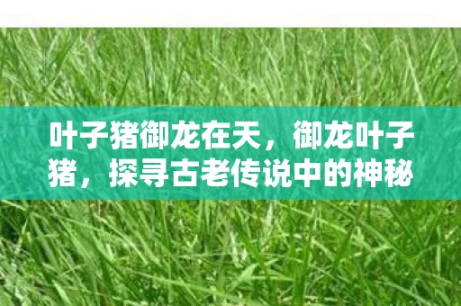 叶子猪御龙在天，御龙叶子猪，探寻古老传说中的神秘生物