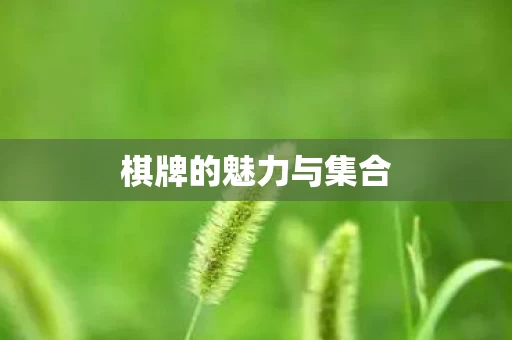 棋牌的魅力与集合图片