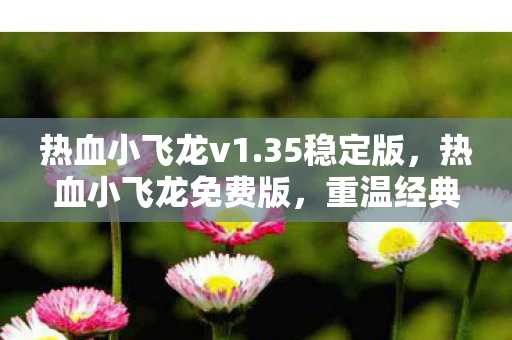 热血小飞龙v1.35稳定版，热血小飞龙免费版，重温经典，畅享无限冒险