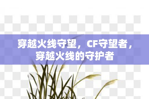 穿越火线守望，CF守望者，穿越火线的守护者