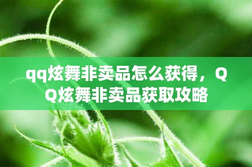 qq炫舞非卖品怎么获得，QQ炫舞非卖品获取攻略