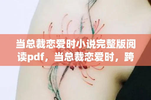 当总裁恋爱时小说完整版阅读pdf，当总裁恋爱时，跨越职场的浪漫邂逅