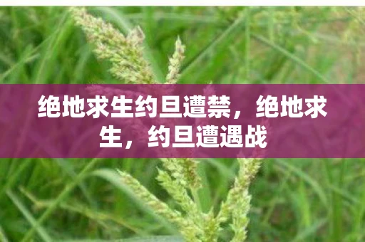 绝地求生约旦遭禁，绝地求生，约旦遭遇战