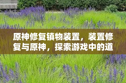 原神修复镇物装置，装置修复与原神，探索游戏中的道路修复机制