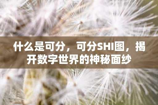 什么是可分，可分SHI图，揭开数字世界的神秘面纱