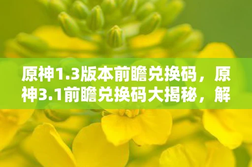 原神1.3版本前瞻兑换码，原神3.1前瞻兑换码大揭秘，解锁新角色、新剧情与丰厚奖励！