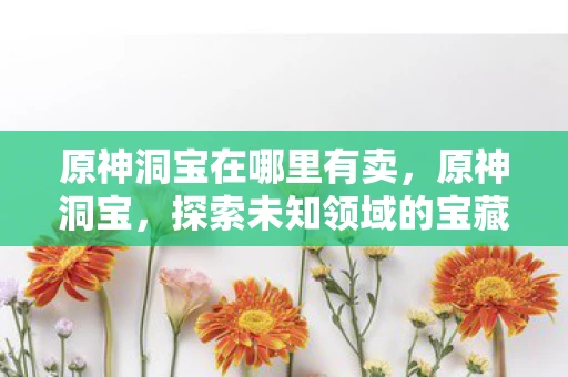 原神洞宝在哪里有卖，原神洞宝，探索未知领域的宝藏