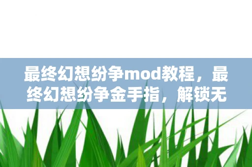 最终幻想纷争mod教程，最终幻想纷争金手指，解锁无限可能的秘密