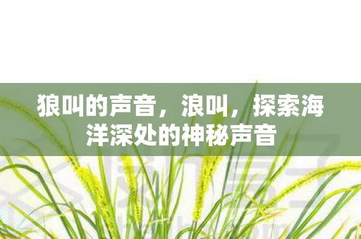 狼叫的声音，浪叫，探索海洋深处的神秘声音