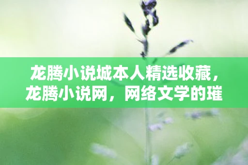 龙腾小说城本人精选收藏，龙腾小说网，网络文学的璀璨明珠