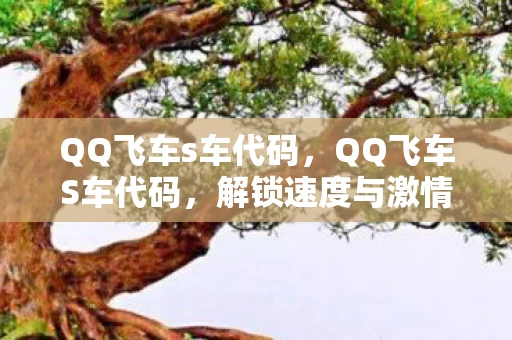 QQ飞车s车代码，QQ飞车S车代码，解锁速度与激情的秘籍