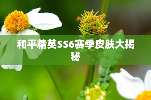 和平精英SS6赛季皮肤大揭秘图片