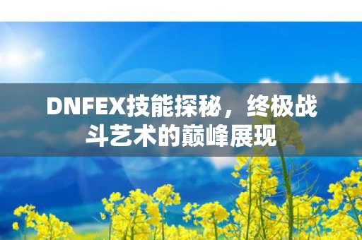 终极战斗艺术的巅峰展现图片