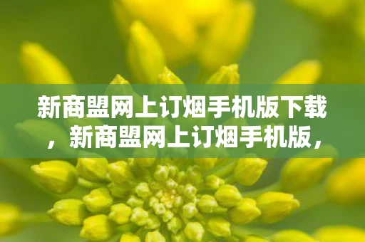 新商盟网上订烟手机版下载，新商盟网上订烟手机版，便捷高效的烟草订购新体验