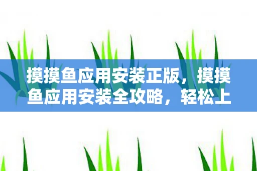 摸摸鱼应用安装正版，摸摸鱼应用安装全攻略，轻松上手，尽享娱乐新体验