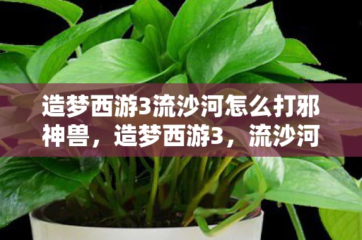 造梦西游3流沙河怎么打邪神兽，造梦西游3，流沙河攻略详解