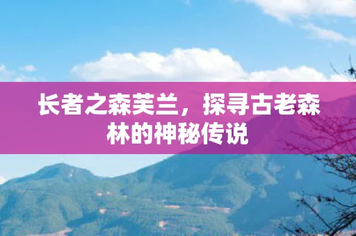 长者之森芙兰，探寻古老森林的神秘传说