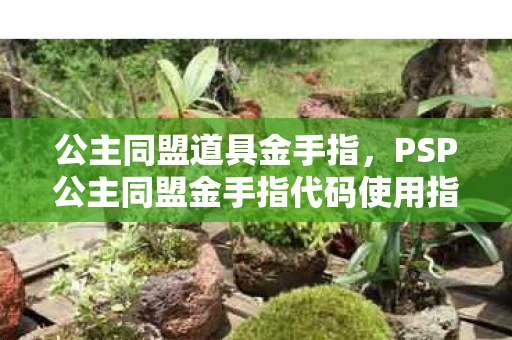 公主同盟道具金手指，PSP公主同盟金手指代码使用指南