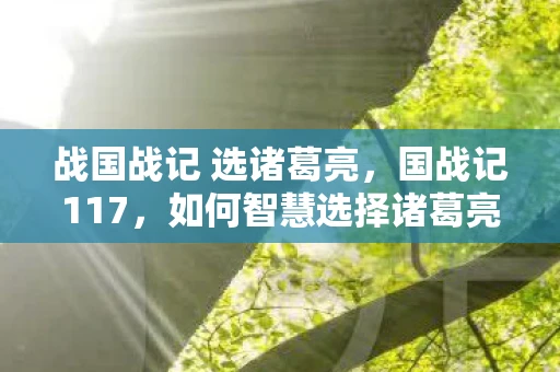 战国战记 选诸葛亮，国战记117，如何智慧选择诸葛亮