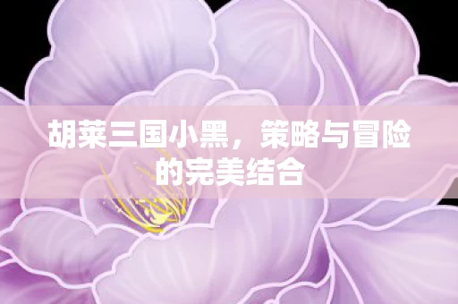 策略与冒险的完美结合图片