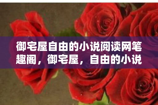 御宅屋自由的小说阅读网笔趣阁，御宅屋，自由的小说阅读乐园