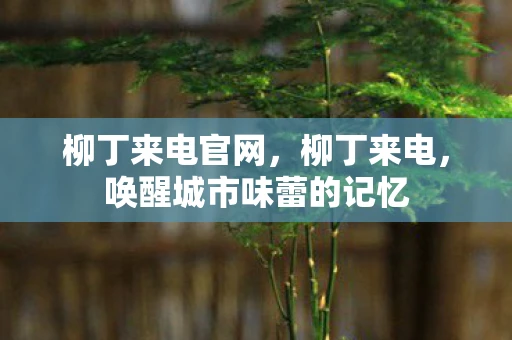 柳丁来电官网，柳丁来电，唤醒城市味蕾的记忆