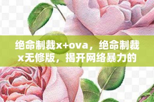 绝命制裁x+ova，绝命制裁x无修版，揭开网络暴力的真实面纱