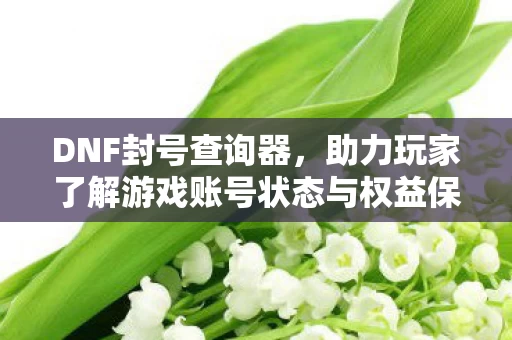 助力玩家了解游戏账号状态与权益保障的重要工具图片