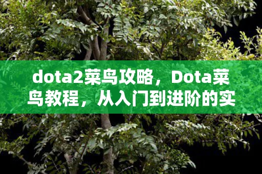 dota2菜鸟攻略，Dota菜鸟教程，从入门到进阶的实战指南