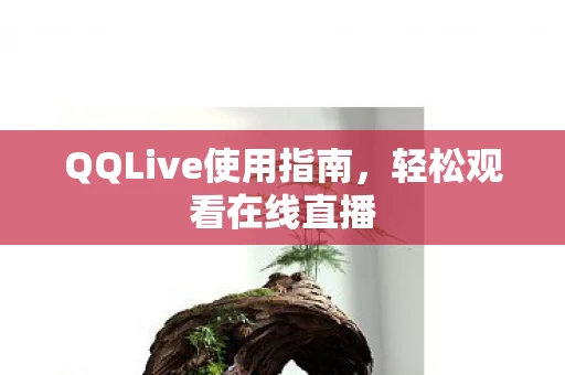 QQLive使用指南图片