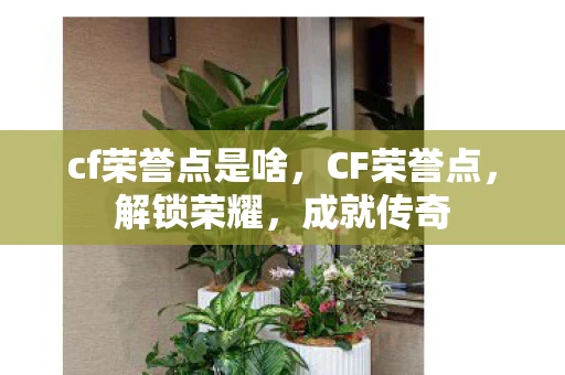 cf荣誉点是啥，CF荣誉点，解锁荣耀，成就传奇