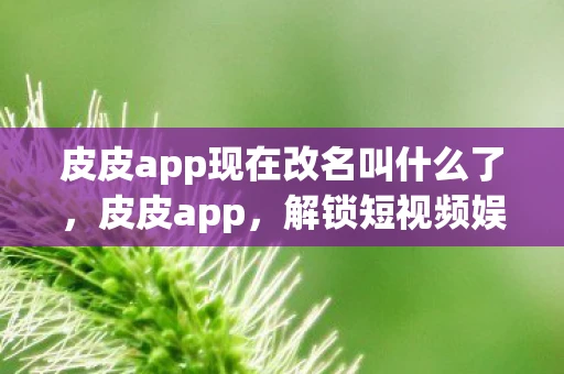 皮皮app现在改名叫什么了，皮皮app，解锁短视频娱乐新体验