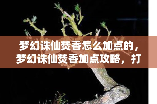 梦幻诛仙焚香怎么加点的，梦幻诛仙焚香加点攻略，打造最强输出角色