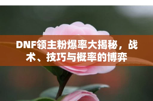 DNF领主粉爆率大揭秘图片