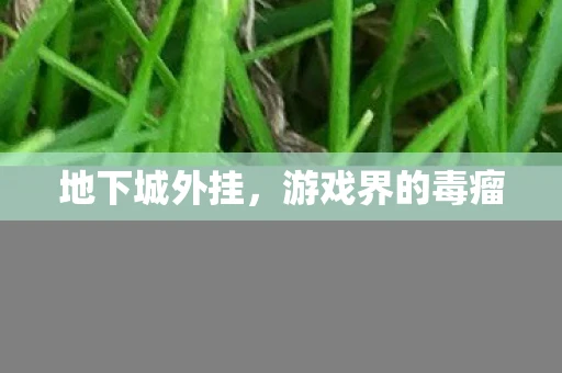 地下城外挂，游戏界的毒瘤