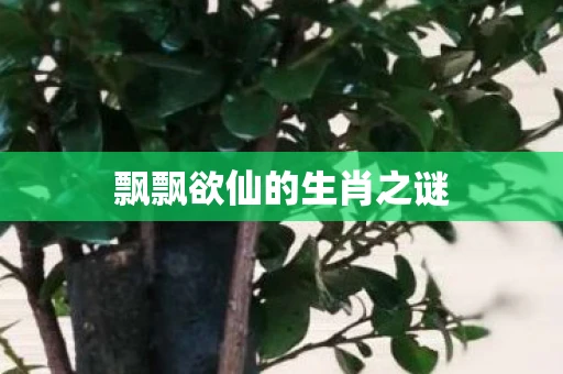 飘飘欲仙的生肖之谜