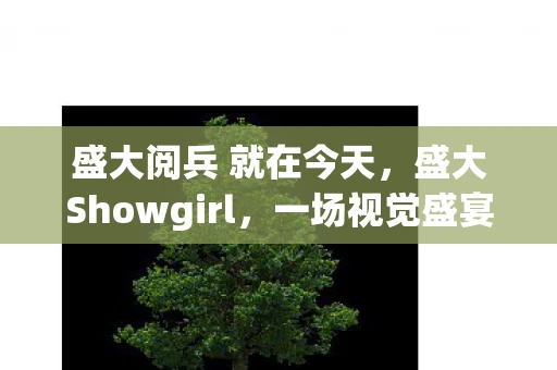 盛大阅兵 就在今天，盛大Showgirl，一场视觉盛宴的幕后揭秘