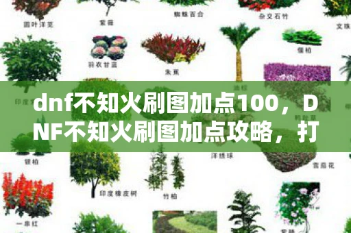 dnf不知火刷图加点100，DNF不知火刷图加点攻略，打造高效战斗体验