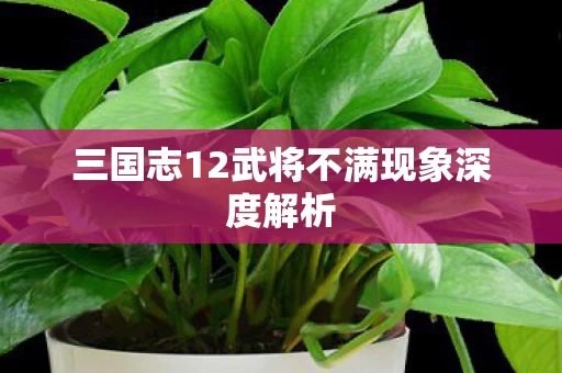 三国志12武将不满现象深度解析图片