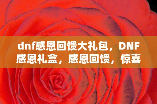 dnf感恩回馈大礼包，DNF感恩礼盒，感恩回馈，惊喜连连