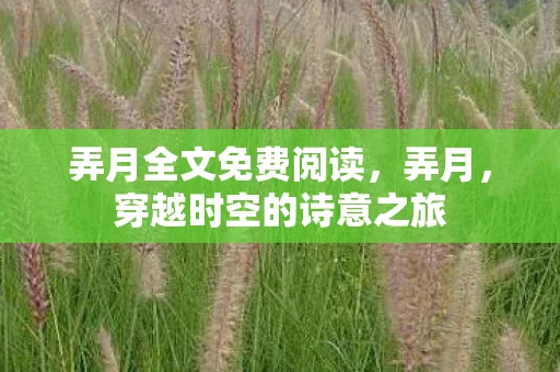 弄月全文免费阅读，弄月，穿越时空的诗意之旅