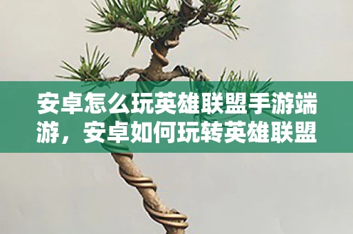安卓怎么玩英雄联盟手游端游，安卓如何玩转英雄联盟手游