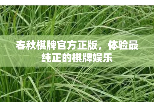 体验最纯正的棋牌娱乐图片