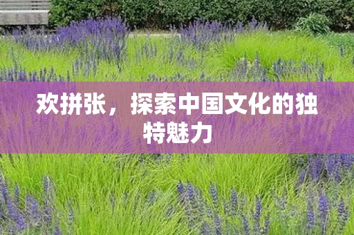 欢拼张，探索中国文化的独特魅力