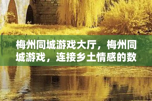 梅州同城游戏大厅，梅州同城游戏，连接乡土情感的数字桥梁