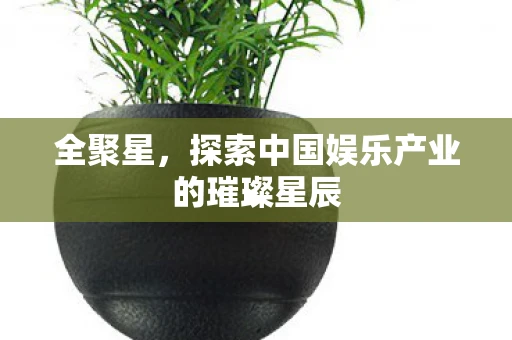 全聚星，探索中国娱乐产业的璀璨星辰