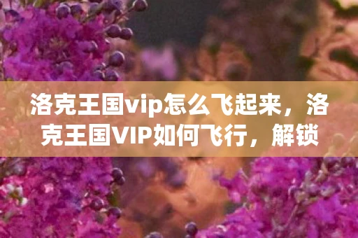 洛克王国vip怎么飞起来，洛克王国VIP如何飞行，解锁飞行技能的详细指南