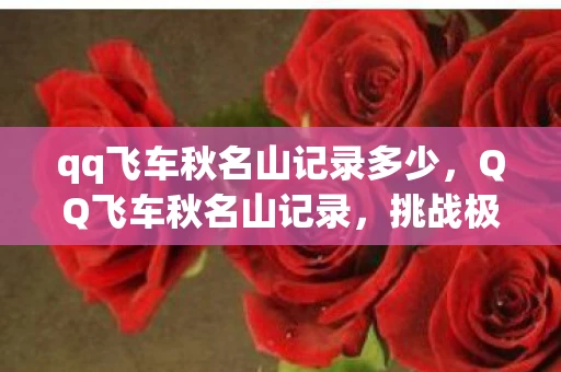 qq飞车秋名山记录多少，QQ飞车秋名山记录，挑战极限，超越自我